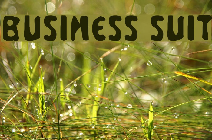 Business Suit Font examples