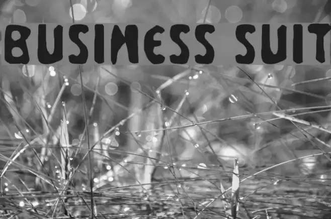 Business Suit Font examples