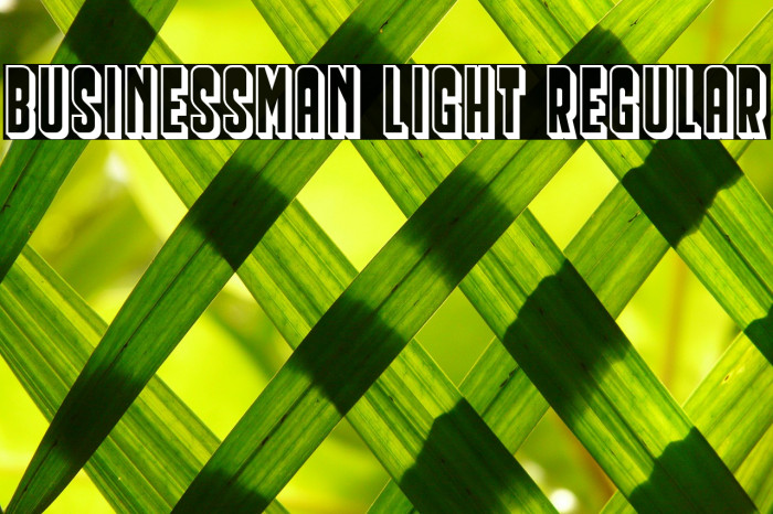 Businessman Light Regular Example 1
