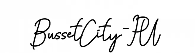Busset City - PU  Free Fonts Download