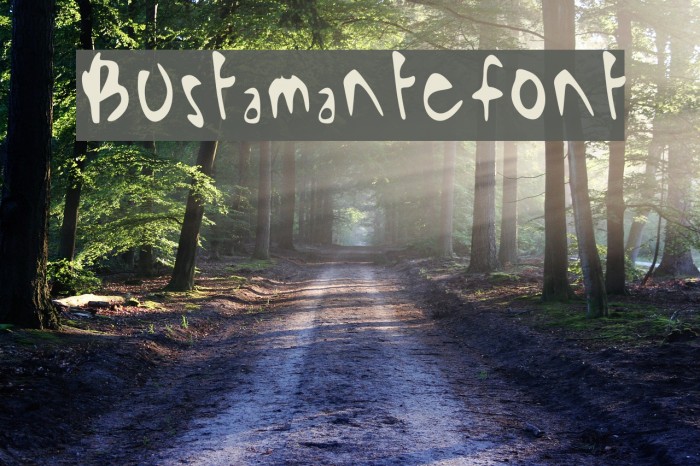 Bustamante_font Example 1