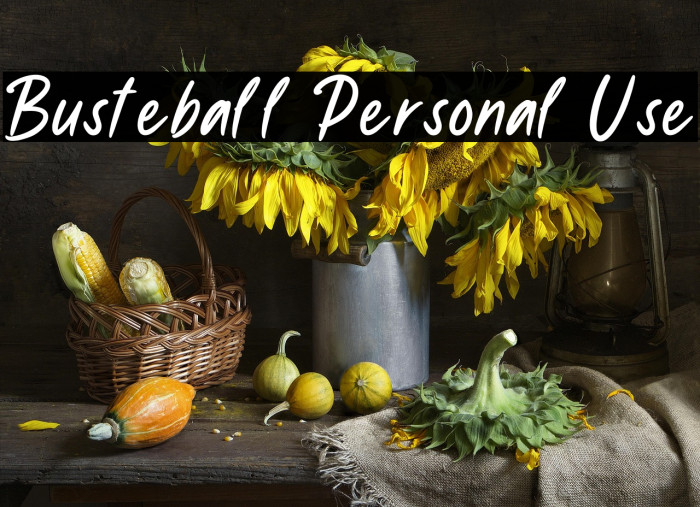 Busteball Personal Use Example 2