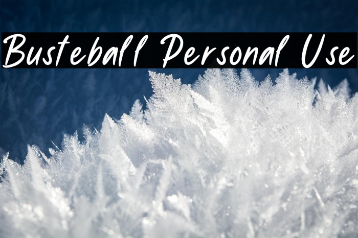 Busteball Personal Use Example 3