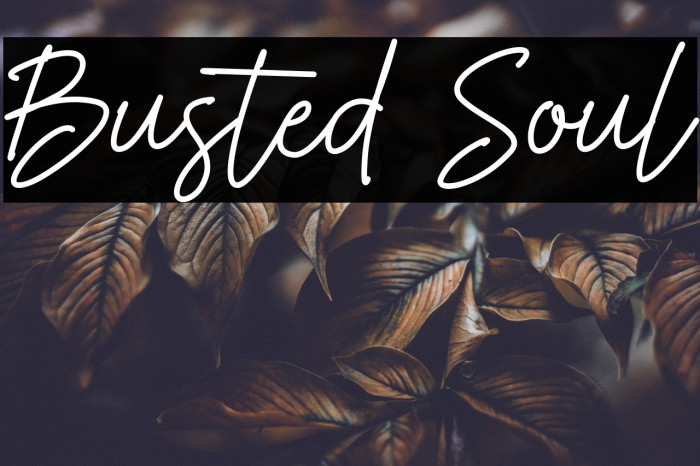 Busted Soul Example 1