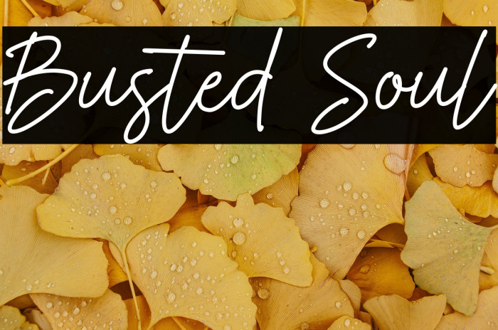 Busted Soul Example 2