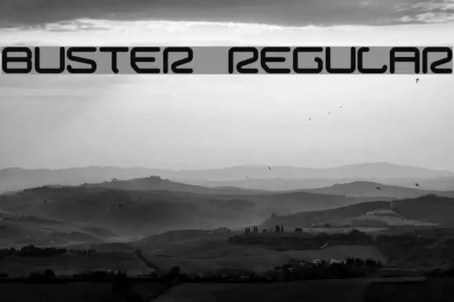 Buster Regular Example 3