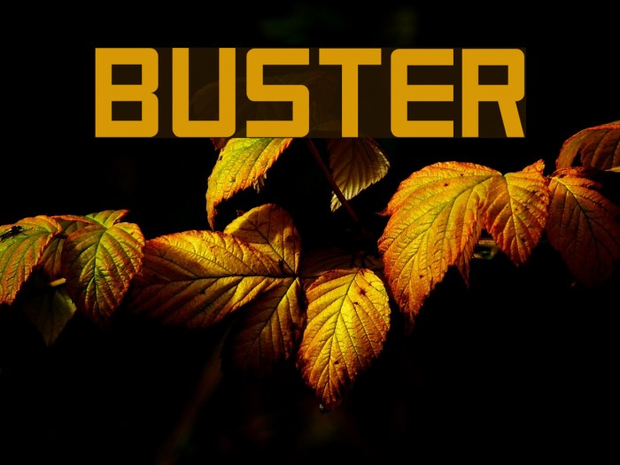 Buster Font examples