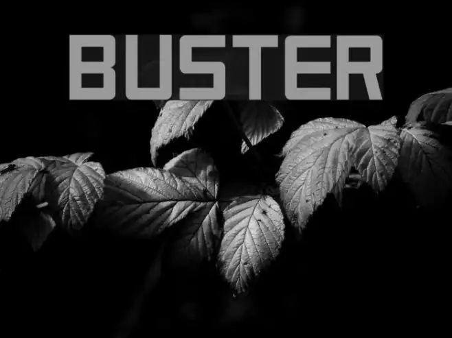 Buster Example 1