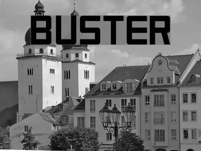 Buster Example 2