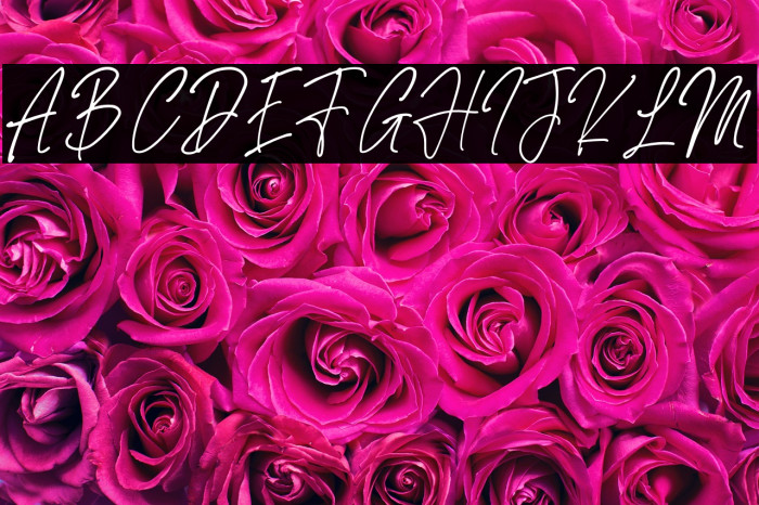 Bustercall Example 1