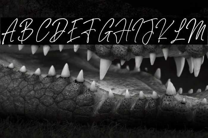 Bustercall Example 3