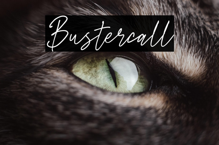 Bustercall Example 3