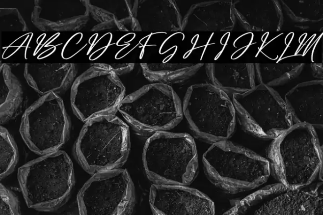 Busterdam Hunter Schriftart examples