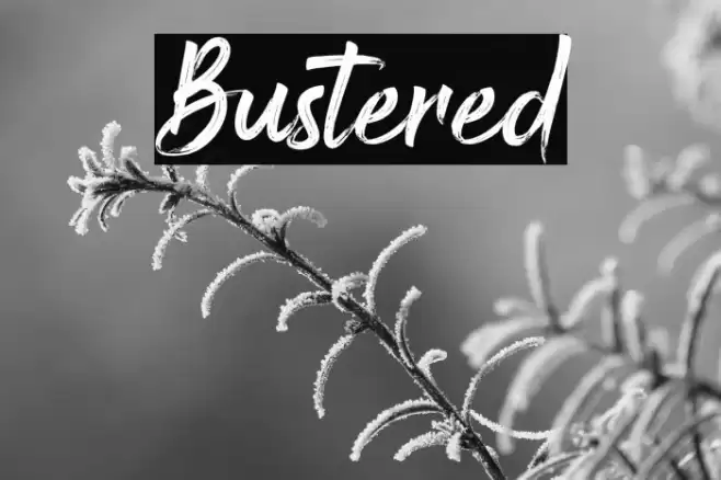 Bustered Font examples