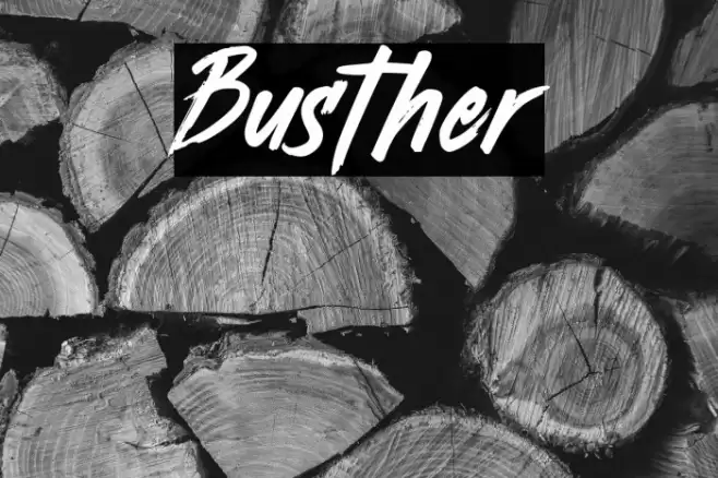 Busther Font examples