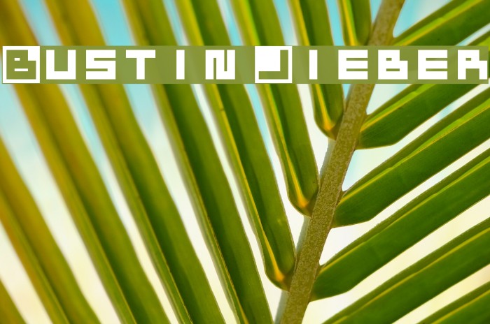 Bustin Jieber Font examples
