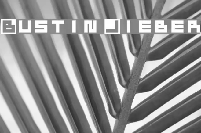 Bustin Jieber Example 1
