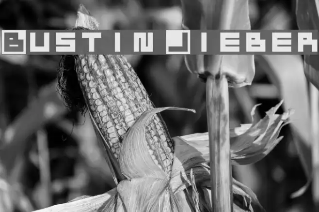 Bustin Jieber Example 2