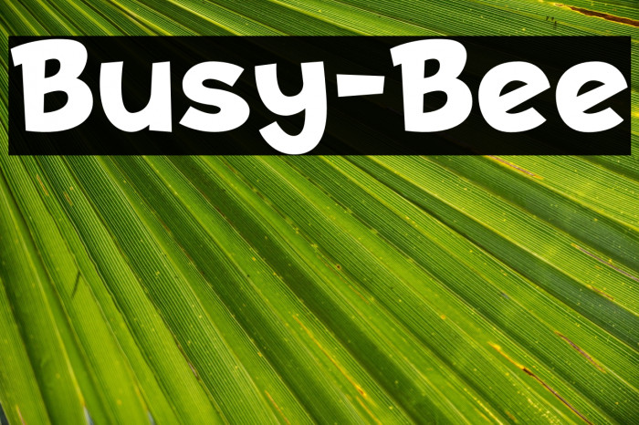 Busy-Bee Example 3