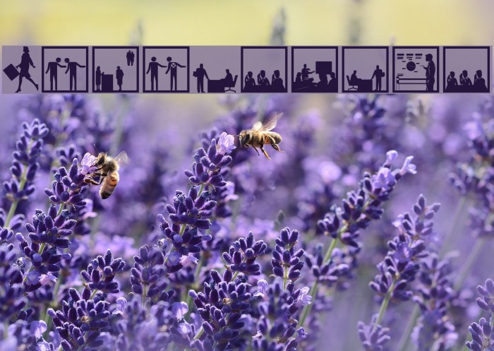 BusyPeople01 Example 3