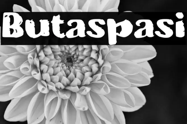 Butaspasi Example 1