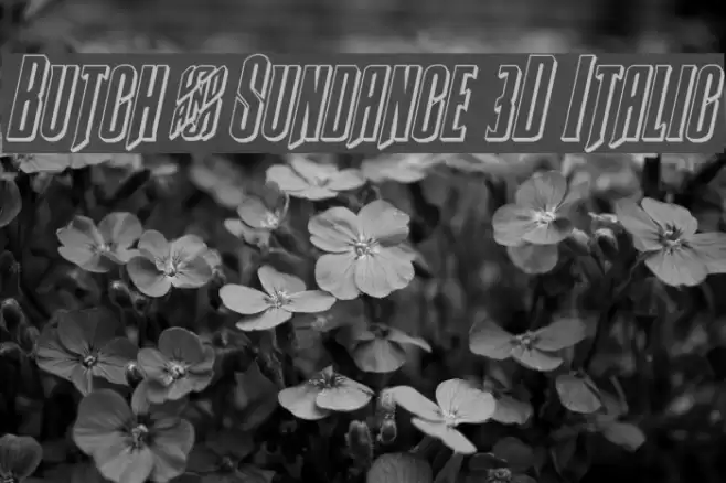 Butch & Sundance 3D Italic Font examples