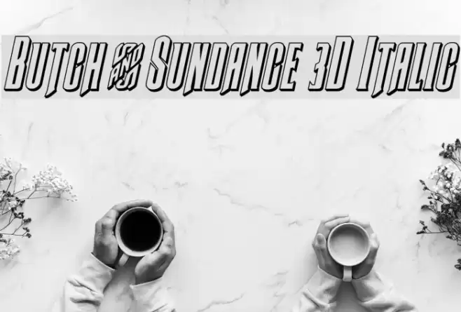 Butch & Sundance 3D Italic Font examples