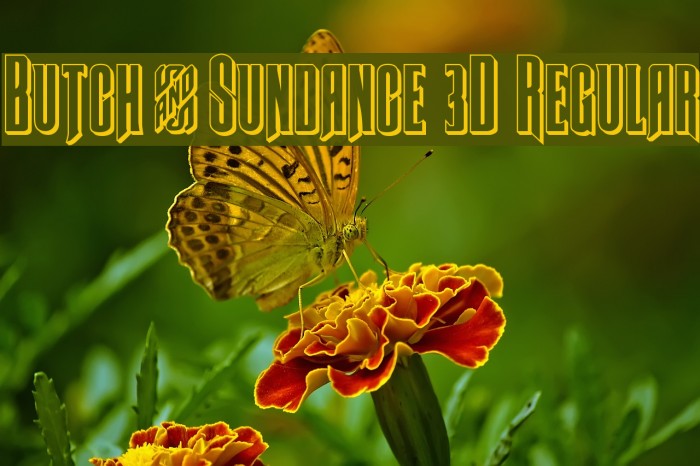 Butch & Sundance 3D Regular Font examples