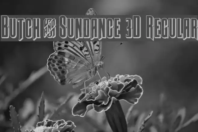 Butch & Sundance 3D Regular Example 1