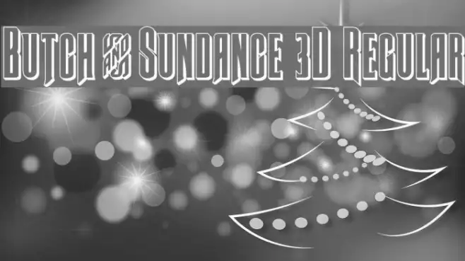 Butch & Sundance 3D Regular Example 2