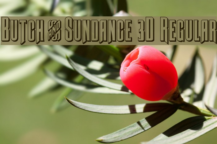 Butch & Sundance 3D Regular Font examples