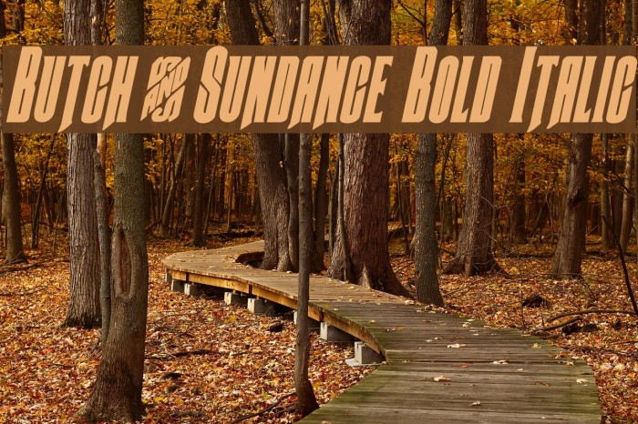 Butch & Sundance Bold Italic Font examples
