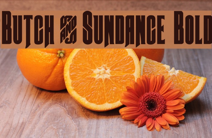 Butch & Sundance Bold Font examples