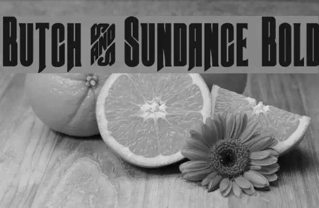 Butch & Sundance Bold Example 1