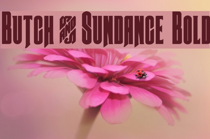 Butch & Sundance Bold Font examples