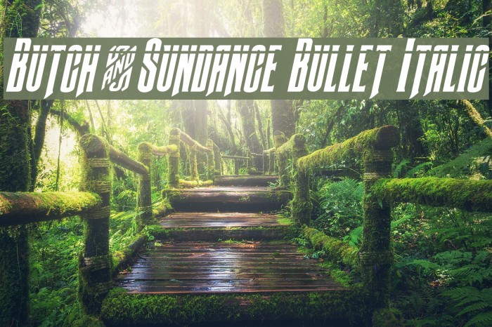 Butch & Sundance Bullet Italic Example 2