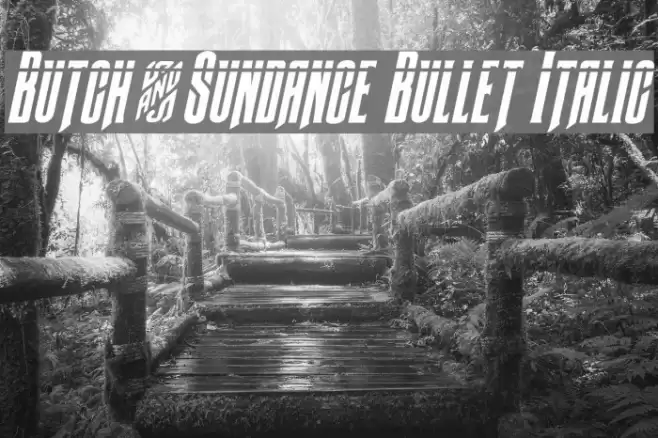 Butch & Sundance Bullet Italic Font examples