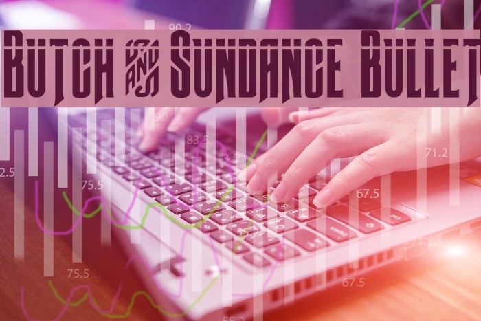 Butch & Sundance Bullet Example 2