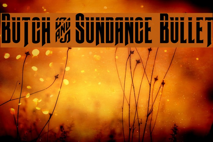 Butch & Sundance Bullet Example 3
