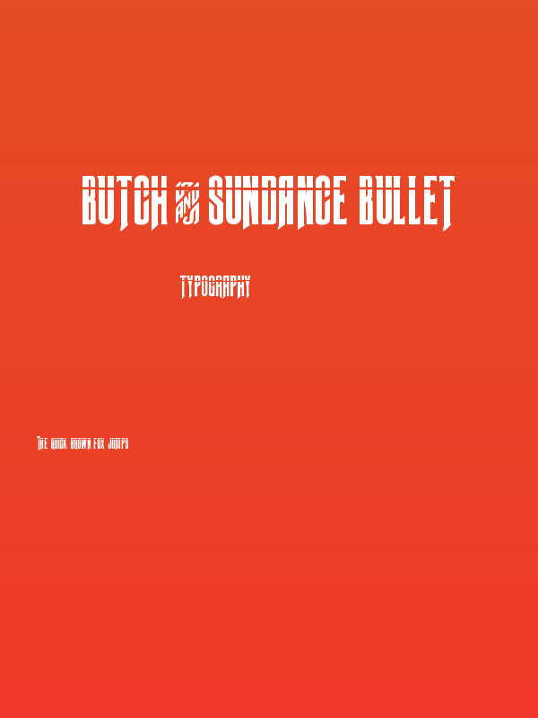 Butch & Sundance Bullet Poster