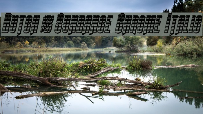 Butch & Sundance Chrome Italic Example 3