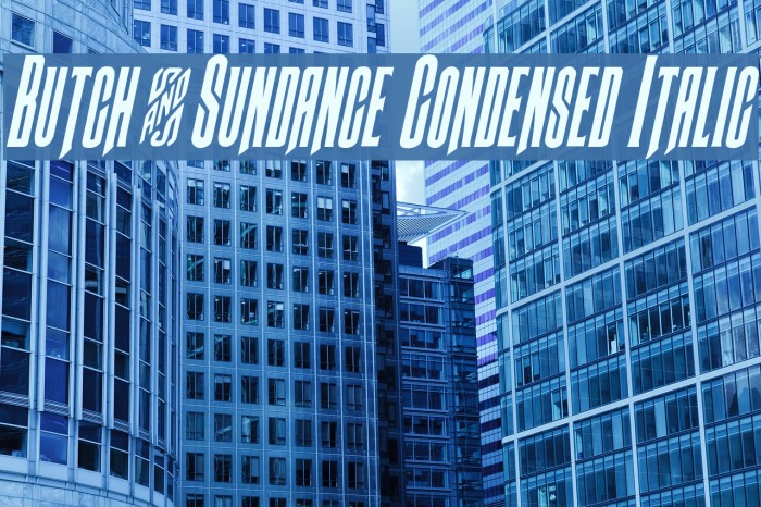 Butch & Sundance Condensed Italic Font examples