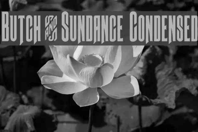 Butch & Sundance Condensed Font examples
