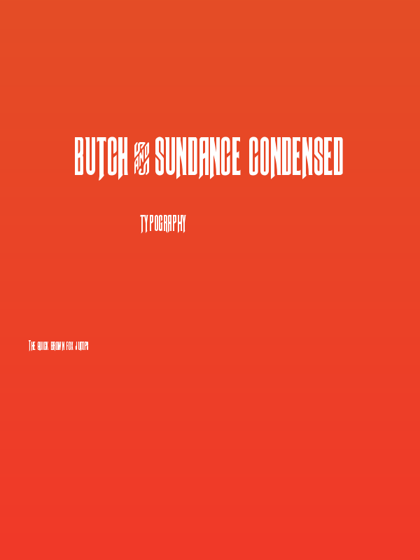 Butch & Sundance Condensed Poster