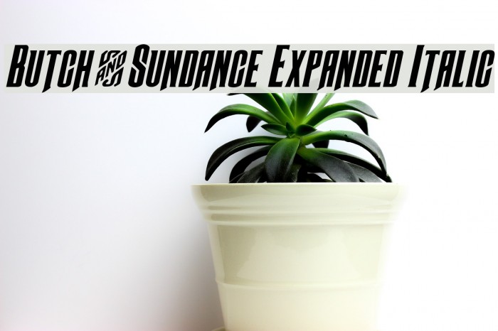 Butch & Sundance Expanded Italic Example 1