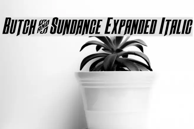 Butch & Sundance Expanded Italic Font examples