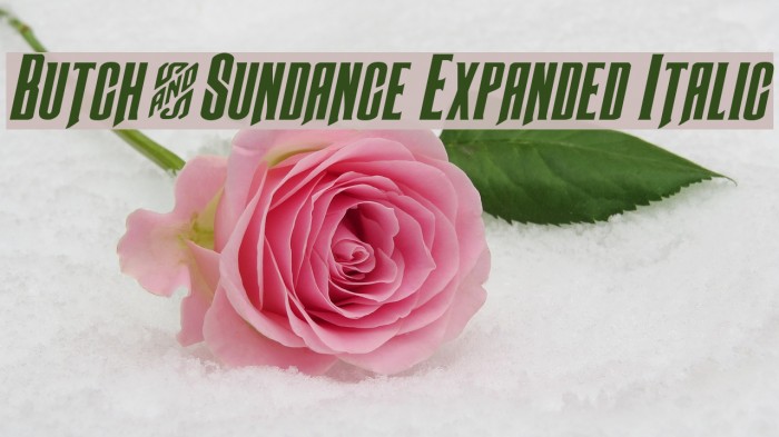 Butch & Sundance Expanded Italic Example 2