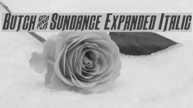 Butch & Sundance Expanded Italic Font examples
