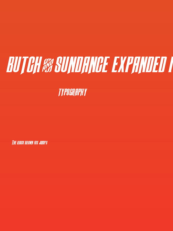 Butch & Sundance Expanded Italic Poster