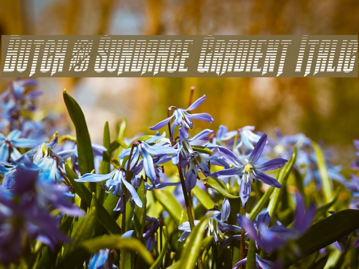 Butch & Sundance Gradient Italic Example 2